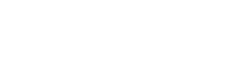 Strelix; Your Vision, Our Code